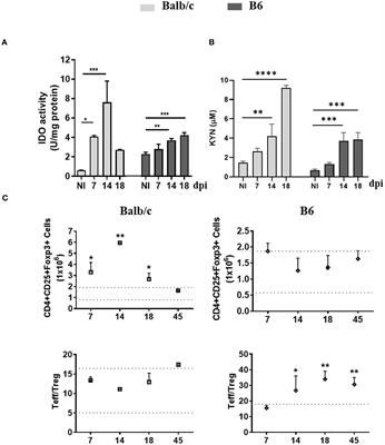 Association between altered tryptophan metabolism, plasma aryl hydrocarbon receptor agonists, and inflammatory Chagas disease